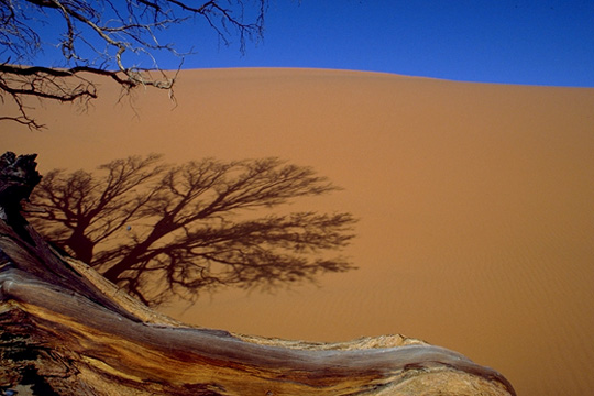 namib.jpg (78257 byte)