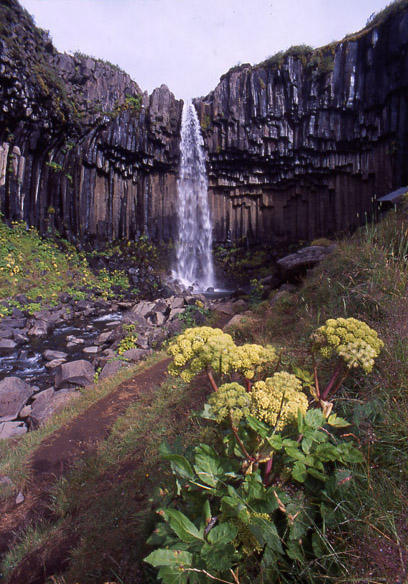 Svartifoss