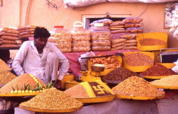  Jaipur : Forte Amber : Venditore