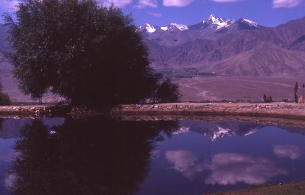 Paesaggio nei dintorni di Leh