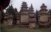 Monastero di Shaolin: foresta di pagode